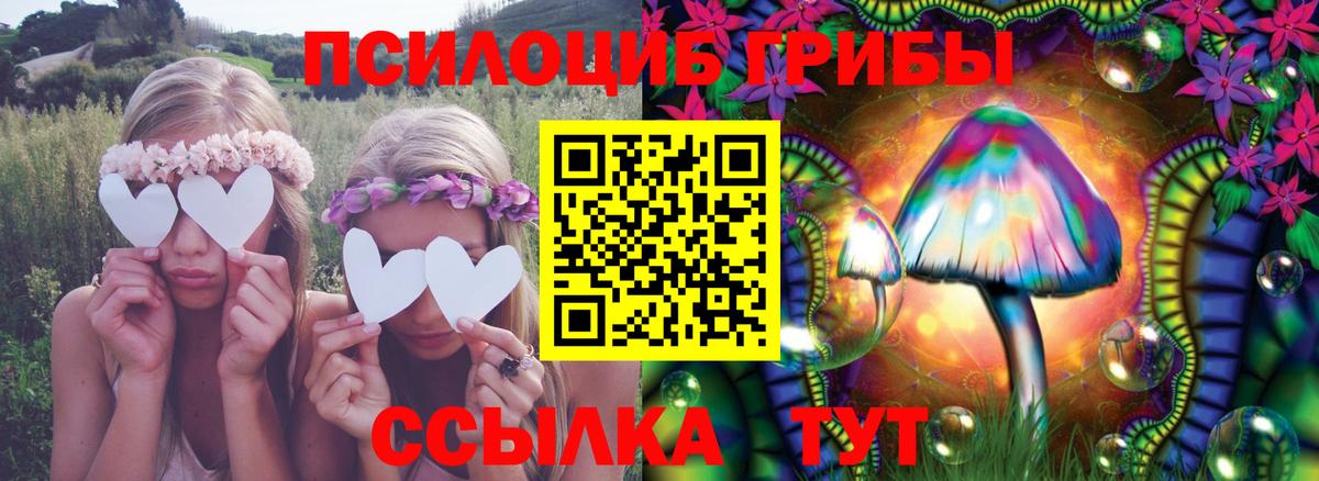 Галлюциногенные грибы GOLDEN TEACHER Новошахтинск