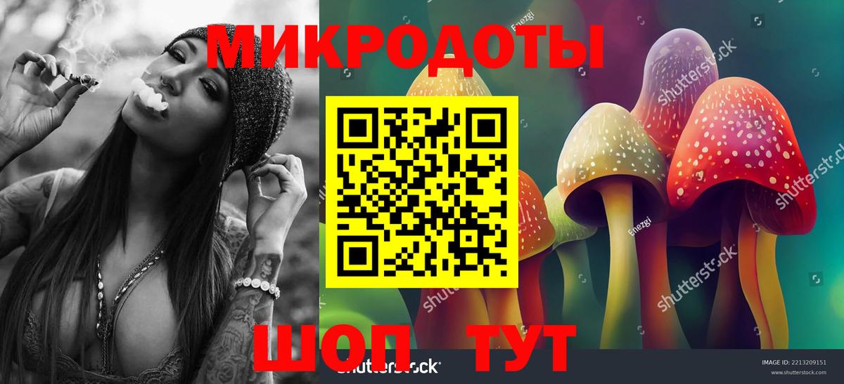 Новошахтинск  где можно купить   Вход с VPN  Псилоцибиновые грибы GOLDEN TEACHER 